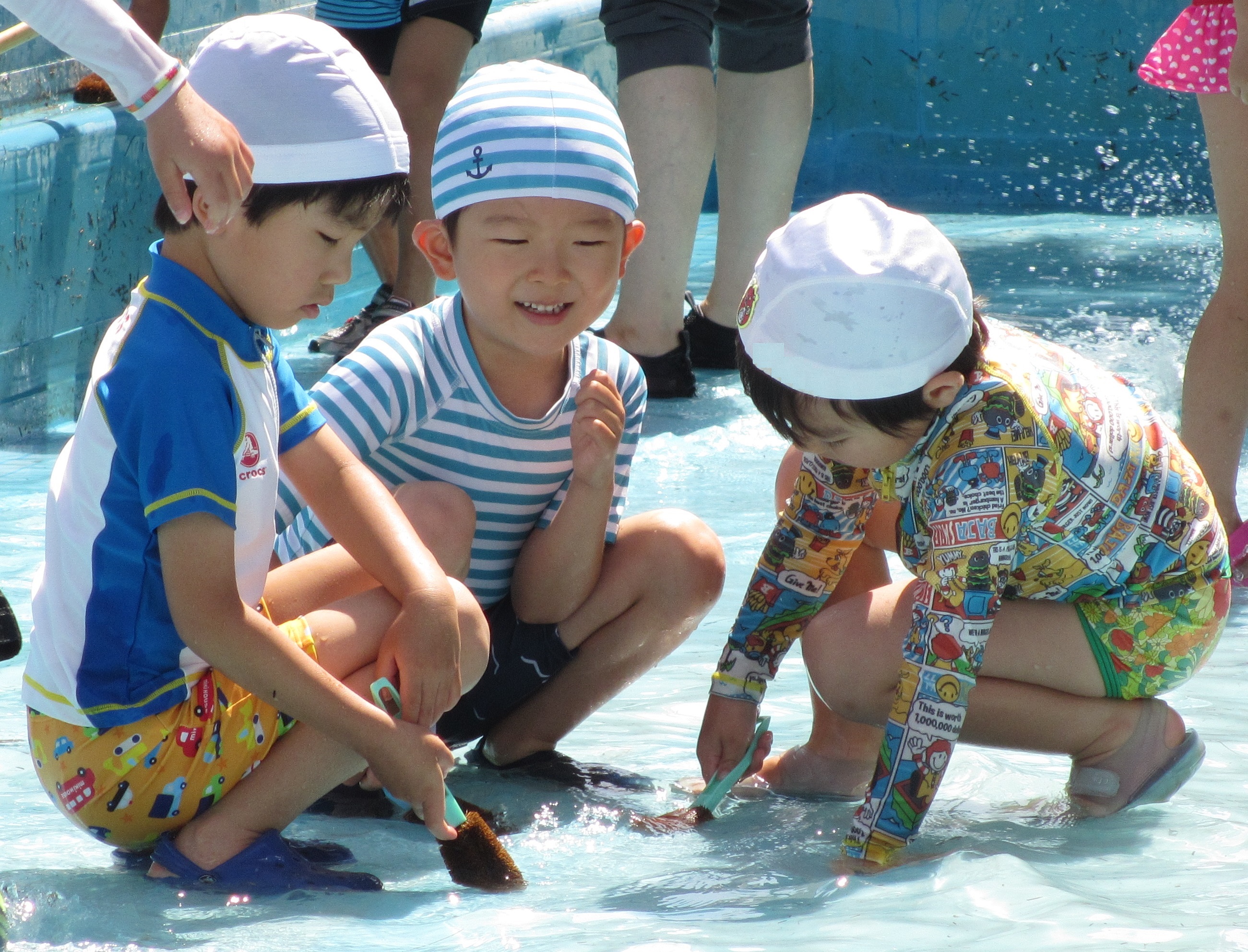 プールそうじ ６月２日 愛媛大学教育学部附属幼稚園